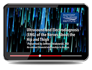 Ultrasound and Electrodiagnosis (EMG) of the Nerves About the Hip and Thigh